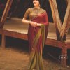 3d Velvet Chiffon Fancy saree With Sequence Blouse dvz0002782