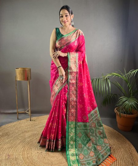 Hot Pink Rangeen Patola Silk saree DVZ0003961