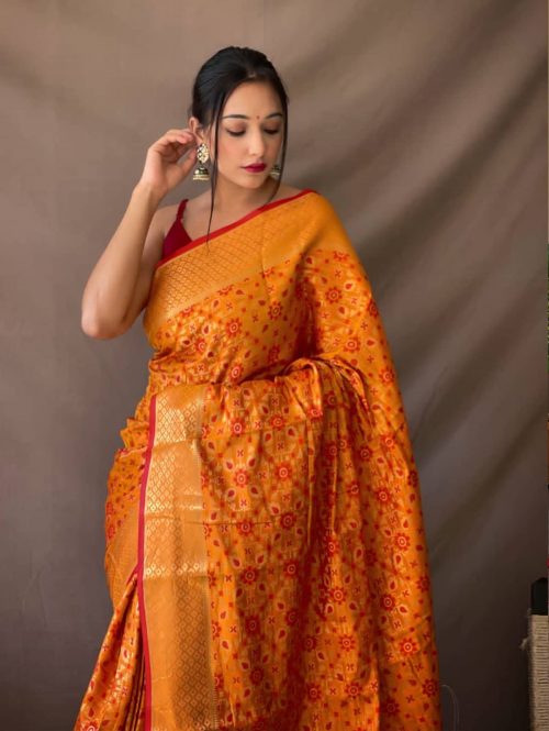 Pure Orange Patola Silk Traditional Saree dvz0003055-2