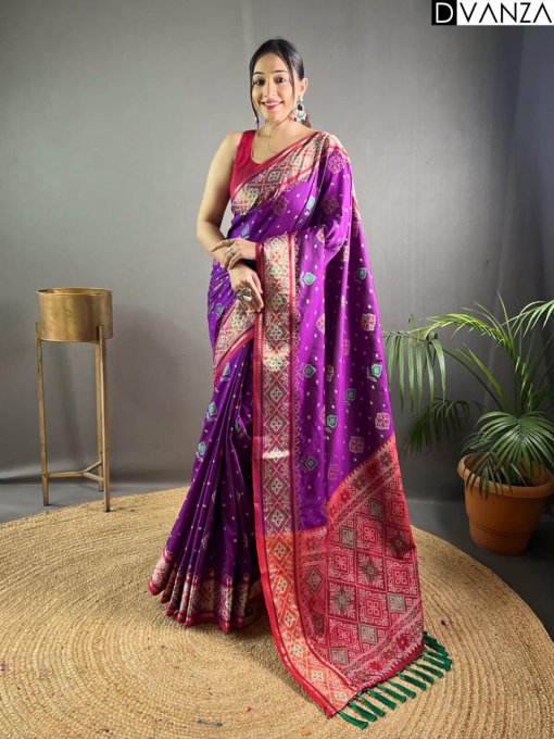 Purple Rangeen Patola Silk saree DVZ0003961