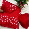 Red Soft silk Bandhani saree DV421