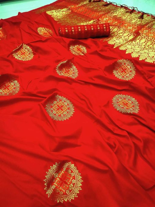 Red South Silk Saree for marriage Function attand