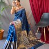 Sky Blue Soft Kanchipuram Silk Saree dvz0003370-3