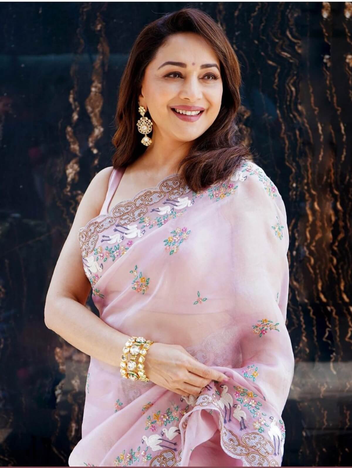 Soft Organza Sequence and thread work Saree DV419-5