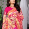 Soft silk Paithani Saree in pink dvz0003096-3