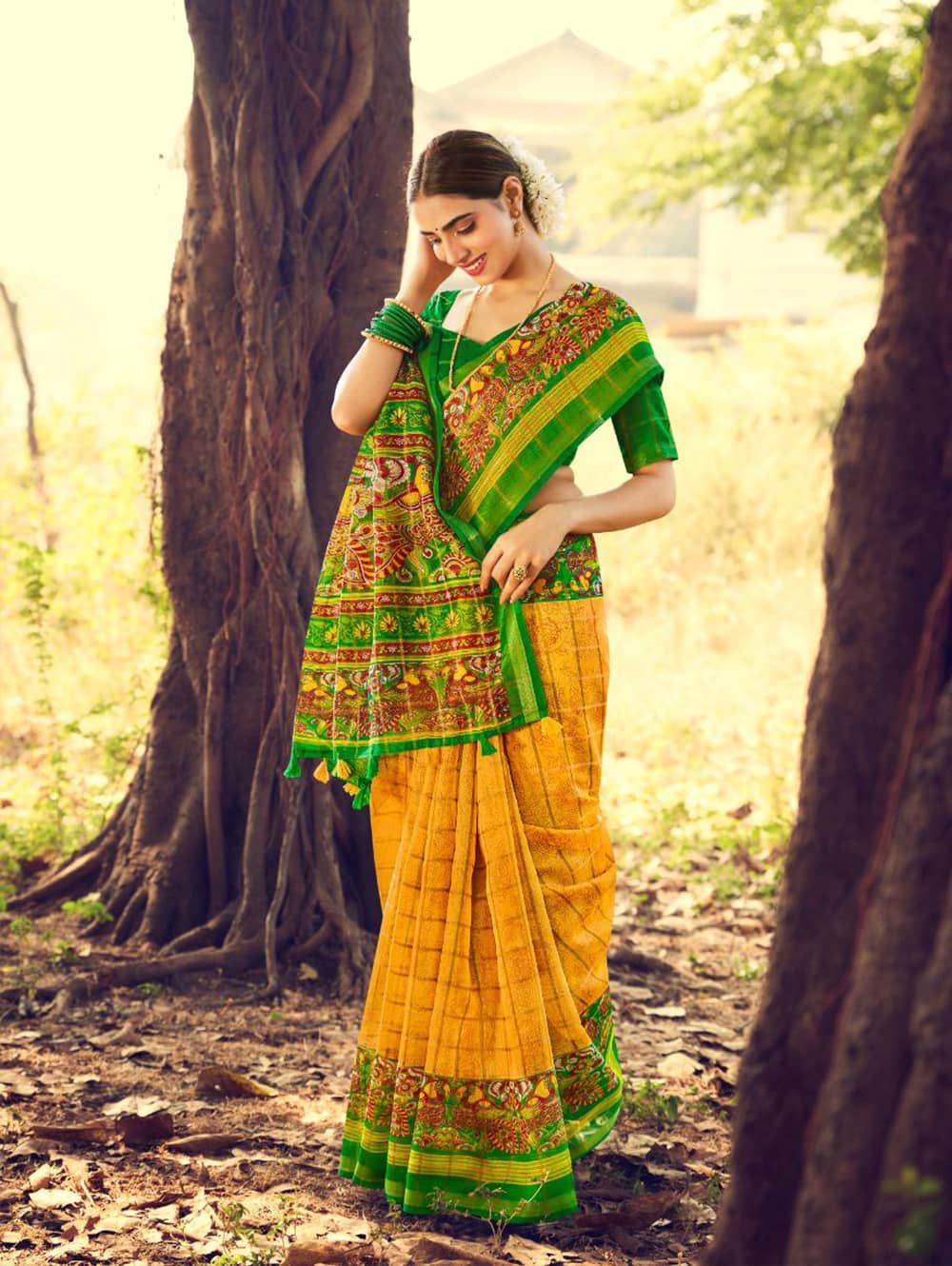 Women's Beautiful Printed Linen check pattern saree dvz0002576