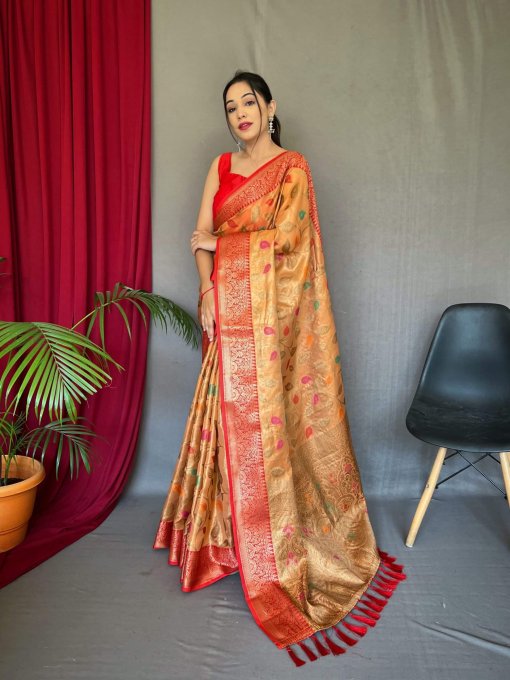 dvanza orange Tissue Silk Saree DVZ0003960