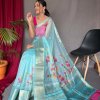 Elegant Pure Organza Silk Saree with Pichwai Print and Sequin Chitt Pallu - dvz0003874