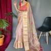 Elegant Pure Organza Silk Saree with Pichwai Print and Sequin Chitt Pallu - dvz0003874