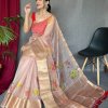 Elegant Pure Organza Silk Saree with Pichwai Print and Sequin Chitt Pallu - dvz0003874