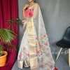 Elegant Pure Organza Silk Saree with Pichwai Print and Sequin Chitt Pallu - dvz0003874