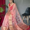 Elegant Pure Organza Silk Saree with Pichwai Print and Sequin Chitt Pallu - dvz0003874