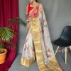 Elegant Pure Organza Silk Saree with Pichwai Print and Sequin Chitt Pallu - dvz0003874