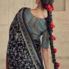 Elevate Your Elegance with Pure Premium Organza Onyx Brasso Saree - dvz0003837