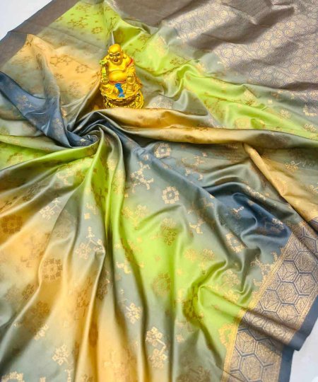 Grey Soft Silk Rainbow Patola Digital Print Saree