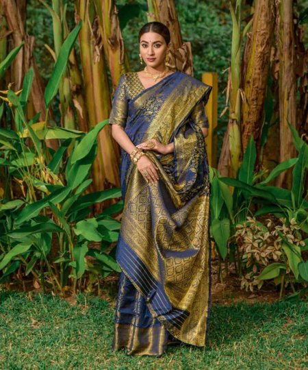 navy blue Woven Design Zari Lichi Silk Saree DVZ0003515