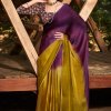 3D Velvet Chiffon Saree With Sequence Blouse - dvz0003239