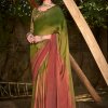 3D Velvet Chiffon Saree With Sequence Blouse - dvz0003242