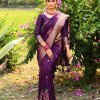 purple Tussar Silk Party wear Saree dvz0003895-2