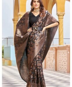 womens Trendy Silk Woven Saree DV427-1